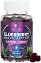 Elderberry Immune Support Gummies - Super Concentrated 35:1 לחלץ, Equivalent to 4200 מ"ג של Elderberries - Sambucus Black Elder Brad ויטמין, תמיכה יומית עבור ילדים ומבוגרים - 60 חניכיים