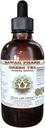 הוואי Pharm ירוק תה ללא אלכוהול, תה ירוק אורגני (Camellia Sinensis) Dried Leaf Glycerite טבעי צמחי