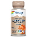 SOLAרי פריצהed Cordyceps Mushroom 1000 מ"ג - תמיכה באנרגיה בריאה - פריצה עבור Absorption משופרת - טבעוני, non-GMO, מעבדה מאומת - 30 משרתים, 60 VegCaps