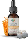 LeVITA8 Premium Mushroom טיפות עבור מבוגרים - 100% טבעי ברי פלאמור - תערובת Synergistic של Lions Mane נוזל, Cordyceps Extract & B12 - Fast Absorbing Drop (1oz, 30 ימים אספקה)