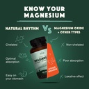 Natural Rhythm Calm Digestion Bundle - משולש Calm Magnesium (120 קפסולות) + Digestive Calm Probiotic (60 קפסולות)