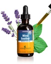 Herb Pharm חרדה כל כך אחר נוזל פורמולה עם Kava Extract ו Lavender Essential שמן עבור Mild ו Occasional חרדה תמיכה * - 2 Ounce