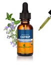 Herb Pharm מוסמך אורגני Catnip לחלץ תמיכה מערכת העצבים הקלה, 1 Fl Oz