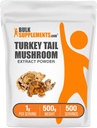 BulkSupplements.com טורקיה Tail Mushroom אבקת - Coriolus Versicolor Extract, תוסף Mushroom - טבעוני וגלוטן חינם, 1g לשרת, 500g (1.1 lbs) (Pack of 1)