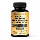 Shilajit 10,000 מ"ג, הים האירי Mos 2000mg, Ashwagandha 3000 מ"ג, Tongkat Ali 30,000 מ"ג, Boron, Magnesium, PQ & More | 60 קפסולות - 30 ימים אספקת Fulvic Acid Veg כמוסות
