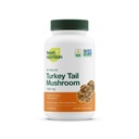 תזונה אורגנית טורקית Tail Mushroom לחלץ תוסף - גבוה בטא Glucans - non-GMO, טבעוני ידידותי, Gluten-Free 90 קפסולות