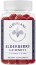 Elderlane Elderberry חניכיים למבוגרים ולילדים - תמיכה כספית - Non-GMO, טבעוני, Gluten-Free, Gelatin-Free - 60ct, 100 מ"ג
