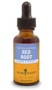 Herb Pharm Red Root Liquid Extracting and Detoxifying - 1 Ounce (DRROOT01)