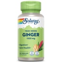 SOLAרי ג'ינג'ר Rootmg | בריאות עיכול, מפרקים ותנועה & Stomach Discomfort Support