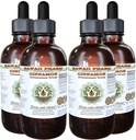 Cinnamon אלכוהול חינם לחלץ, Cinnamon (Cinnamomum Verum) Dried Bark Glycerite הוואי Pharm טבעי צמחי 4x4 oz
