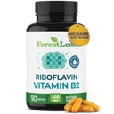 ForestLeaf ויטמין B2 Riboflavin 400 מ"ג - אנרגיה, Skin & cell Health תוסף - מערכת העצבים - ויטמין B 2 VIT B - Non-GMO & Gluten Free - B2 400 מ"ג קפסולות ירקות, 90 הרוזן ספירה