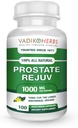 מוסמך אורגני Vadik Herbs Prostate Rejuv Herbal Dietary תוסף | מקדם בריאות הערמונית ולהפחית סימפטומים קשורים, תמיכה נורמלית Prostate functioning (1 Pack)