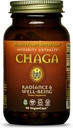 HealthForce Superfoods Integrity Extracts Chaga - קפסולות - 90 קפסולות טבעוניות
