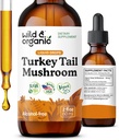 Wild & Organic טורקיה Tail Tincture - Immune & Gut Support - טורקיה Tail Mushroom Extracts - טבעוני, סוכר ואלכוהול חינם נוזל תוספת - 2 oz