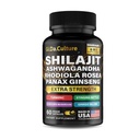 Shilajit Ashwagandha Rhodiola Rosea Panax גינזנג - עבור גברים ונשים - קפסולות Shilajit - 60 Veggie קפסולות