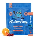 Waterboy Weekend Recovery | 3,200 מ"ג אבקת Packets | ג'ינג'ר + L-theanine + ויטמינים | No Sugar, All Natural, Gluten Free | 24 שתו מקל Mixes (Fruit Punch)