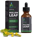 אורגני מולליין Tincture טיפות לבריאות הנשימה - תמיכה טבעית Lung, אלכוהול חינם, טבעוני, non-GMO, Herbal Extract, 2 fl oz (60 מ"ל) Natural Sleep Aid & Immune Support