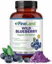 FineLand Wild Blueberry 10:1 לחלץ, 000 מ"ג כוח, 120 קפסולות טבעוניות, עשיר פלבנואידים ו Anthocianins, תמיכה אנטי-חמצן לבריאות המוח והלב, 4Month Supply, Non-GMO מיוצר בארה"ב