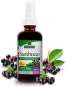 תשובתי של הטבע Sambucus Spray | תומך במערכת בריאות של Immune | התמזג עם סליפרי אלם, סייג' & Echinaea | אלכוהול חינם, ללא תשלום, מוסמך כשר וללא תוספת