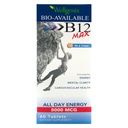 Wellgenix Bio-Available Sublingual B12 B6 Folate ויטמין פורמולה עבור Absorption גבוהה - תוספי תזונה Multivitamin (60 ct) 1 Pack