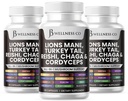 Lions Mane תוספת תמיכה קוגניטיבית, Immune Health עם טורקיה Tail 20in1 Mushroom Reishi Cordyceps Chaga עם Marshmallow Root - 18 Count