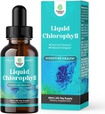 נוזל טבעוני Chlorophyll טיפות - Super Concentrated Mint Flavored Chlorophyll נוזל טיפות - תמיכה נקייה פנימית תמיכה Immune בריאות הגוף כולו Detox ותמיכה נקייה (60 משרתים)