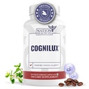 Cognilux - תוספי המוח לזיכרון והתמקדות - Nootropic Focus תוסף עם Niacin, ויטמין B6, GABA ועוד - תוספת זיכרון למוח, בריאות המוח, 60 קפסולות