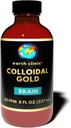 Earth Clinic ® Colloidal Gold 20 ppm, 8 oz (237 mL) - תמיכה מוחית טבעית ותפקוד קוגניטיבי
