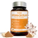 Stomach Plus-for Stomach, Gastritis, Stomach Lining תיקון, Acid Reflux, Heartburn, Indigestion, עם Galangal, Dong Quai, Cinnamon & Magnolia 45 קפסולות