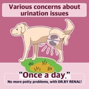 Dr.by Renal Kidney Bladder Urethra תוספי מזון לכלבים ו- Puppy - Sweet Potato Flavored Dog תוסף לכלבים UTI, 30 Count באופן אישי ארוז (Pack of 1)