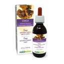 Naturalma Chaga (Inous obliquus) Fungus או Mushroom אלכוהול חינם Tincture - 4 fl oz נוזל לחלץ טיפות - Herbal תוסף - טבעוני