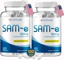 סם e 500mg Methionine תוסף Liver, Joint, Brain and Mood Support, High Absorption SAM-e (S Adenosyl Methionine), טבעוני, Gluten Free, Non-GMO-USA Made, 60 סם e קפסולה (2 Pack)