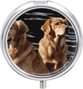 Pill Box 3 השוואת גלולות עגולות מארגנת יום יומית Small Pill Case for Travel Golden Retrievers Metal Piller מכיל מארגנת תרופות המכילות גלולות שמן שמן דגים