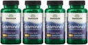 Savson כוח מקסימלי Graminex פרח לחלץ - תמיכה בריאות הערמונית, הפונקציה Urinary Tract, ו Kidney Health - Mens Health Supplement - (60 קפסולות, 500 מ"ג כל) (4 Pack)