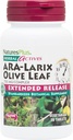 NaturesPlus Herbal Actives ARA Larix אולי Leaf - 30 טבליות - Immune Support Supplement, Extended Release Botanical Complex - Vegetarian, Gluten Free - 30 משרתים