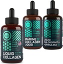 WILD FUEL נוזל קולאזן, Marine Collagen ונוזל Chlorophyll Beauty ו-Everything Bundle