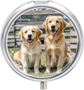 Round Pill Case 3 השוואת שיער גולדן Retriever כלבים Puppies חיות מחמד Pill Box Mini Medicine Pill מארגנת Portable Travel Pillbox עבור Pocket Purse Metal Pill Container עבור ויטמינים שמן שמן תוספי שמן דגים