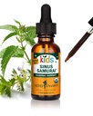Herb Pharm ילדים מוסמכים ללא אלכוהול Sinus Samurai נוזלי Herbal Formula, אורגני, 1 Fl Oz