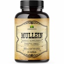 HerBALICIOUS Mullein Extract for Lungs - Lung Detox for Smokeers & Respiratory Support - תוסף צמחי ל- Lung ניקויse, Detox ו- Digestive Wellness - טבעוני, לא-GMO, 100 קפסולות