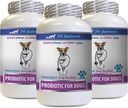 Good Dog Diarrhea - ProBIOTICS for Dogs - Stop Gas Marblehea and Bad Breath - כלב פרוביוטיקה Diarrhea - 3 בקבוקים (180 טיפולים)