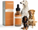 התמיכה של Everpath Respiratory לכלבים - 2 Fluid Ounces / 60 מ"ל | Made in the USA | Boosts Immune Support & Healthy Breathing