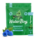 Waterboy Workout hydrotion | 2,960mg Sugar Free Electrolyte אבקת Packets | L-Glutamine + ויטמינים | No Sugar, All Natural, Gluten Free | 15 משקאות Stickes (כחול פטל)