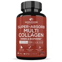 Wholesome Wellness Super-Absorb Multi Collagen Pills (Type I II III V X) אורגני Herbs & Bioperine - שיער, עור, ריחות - תוסף חלבון פפטיד מופחת לנשים וגברים (90 קפסולות)