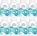 Liposomal NAD+ תוסף 1000 מ"ג | גבוה יותר NAD פונטיות | Max Absorption | Pure NAD תוסף | אנרגיה ותיקון דנ"א, הגנה, תפקוד המוח | 480 Softgels