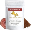 תוספת מזון Reishi Mushroom אבקת + Spores (50 / 50 בלגן) ווד Grown Pure & Potent Wildated Ganoderma 50g (1.76 oz)