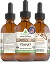 RawGuru אורגני Mushroom Complex Tincture - אורגני Mushroom Extract with Trace מינרלים - Nano-Processed Cognitive & Immune תמיכה תוסף - 60 מנות של טיפות טבעוניות ל 60 מ"ל, Pack של 1 1