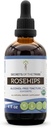 סודות השבט Rosehips USDA אורגני | מזון ללא אלכוהול, High-Potency Herbal Drops | Made From 100% Certified Organic Rosehips (Rosa spp).