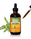 Herb Pharm Chanca Piedra נוזל לחלץ תמיכה מערכת שתן - 4 Ounce