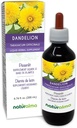 Naturalma Dandelion (Taraxacum officinale) Root and Herb Alcohol-Free Tincture - 6.76 fl oz נוזל לחלץ טיפות - תוסף צמחי - טבעוני