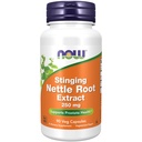 Now Foods Supplements, Stinging Nettle Root Extract (Urtica dioica) 250 מ"ג, תומך Prostate Health *, 90 ואג קפסולות